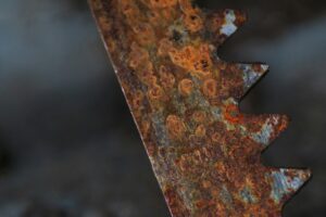 Why Developers Are Embracing Rust for High-Performance Applications