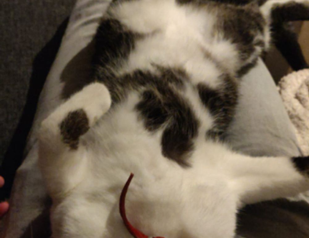 details of gdtj45 builder software