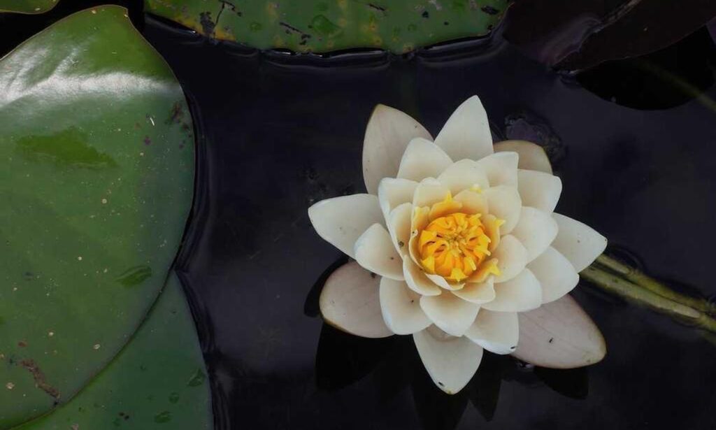 what should i wear in drapizto island