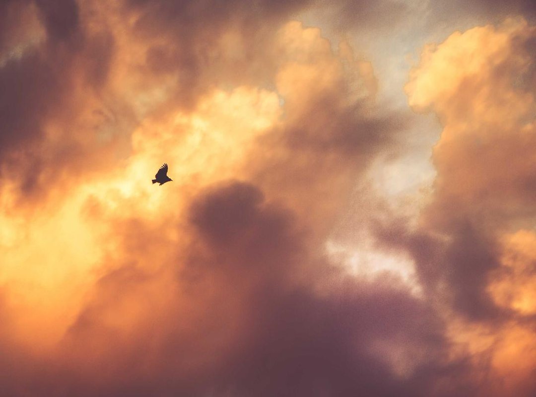 Example Calculation: 1500 MXN to CLP