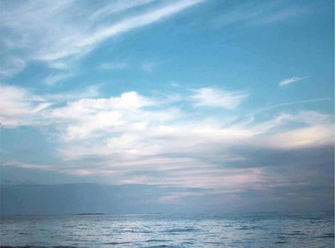 Mapping Her Digital Footprint: Social Media and Online Platforms