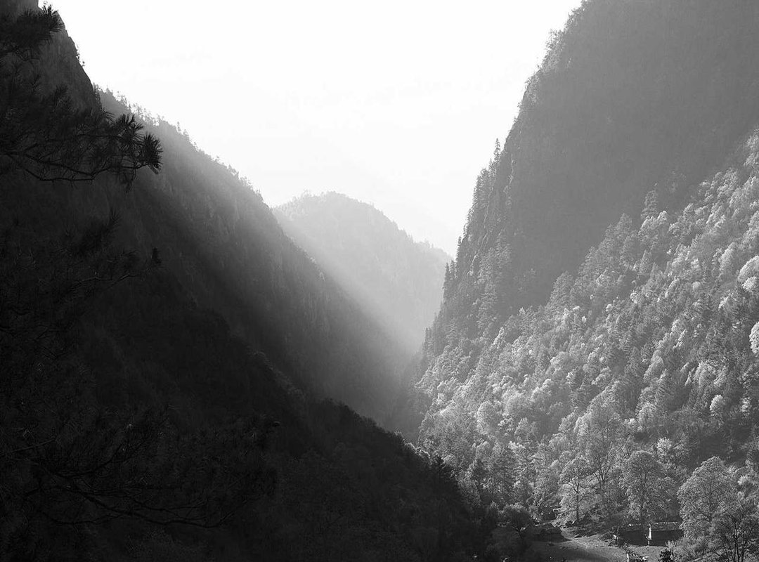 Who Should Use Faprllo (And Who Shouldn't)