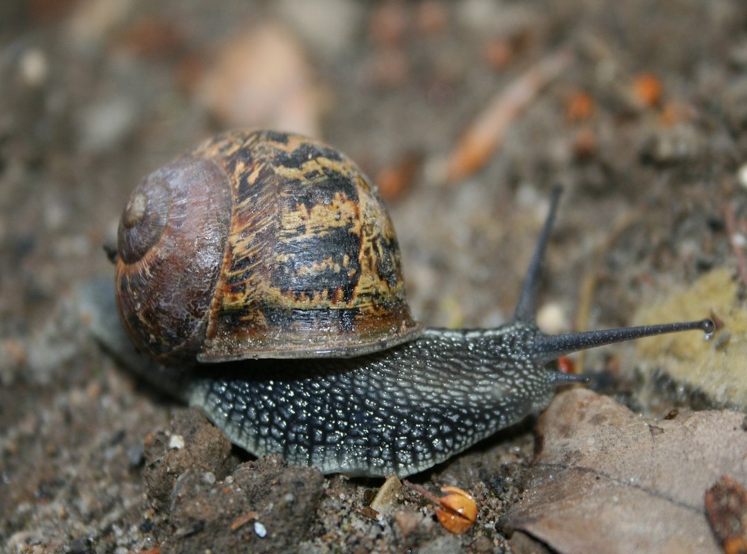 How to Get Started with Iganoby in 3 Simple Steps