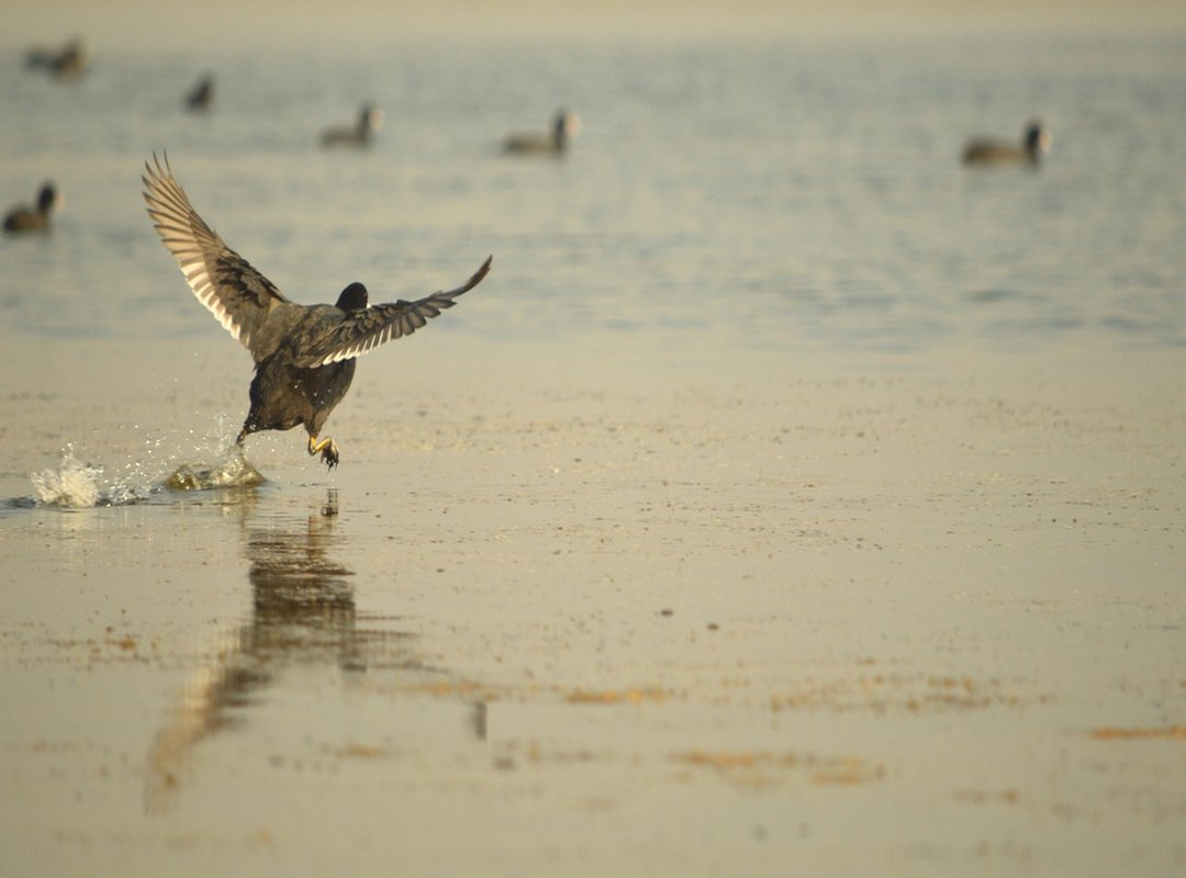 Common Misconceptions About Jepun AEX