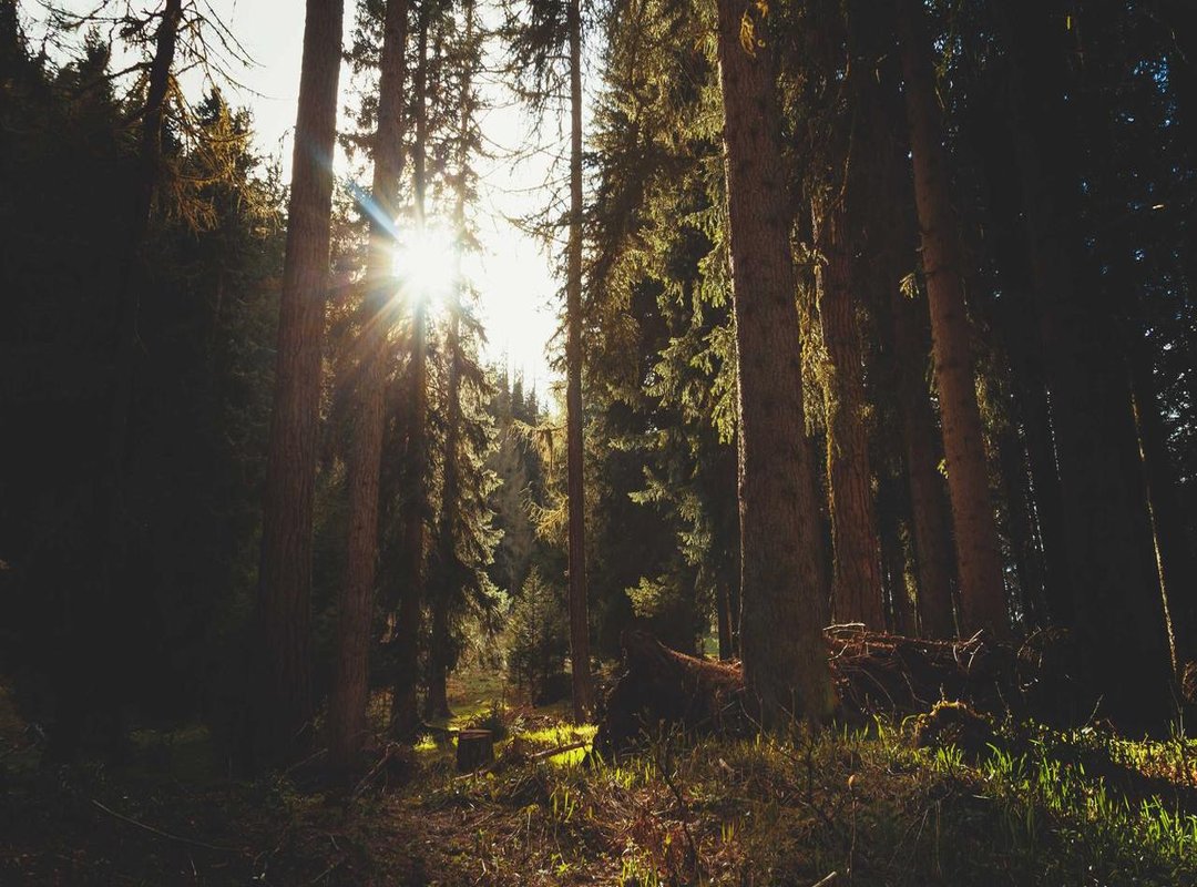 The Final Chapter: How the Tragedy Unfolded