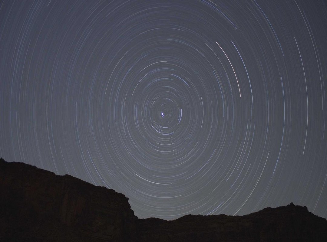 Navigating the Spotlight: How the Couple Handles Public Attention