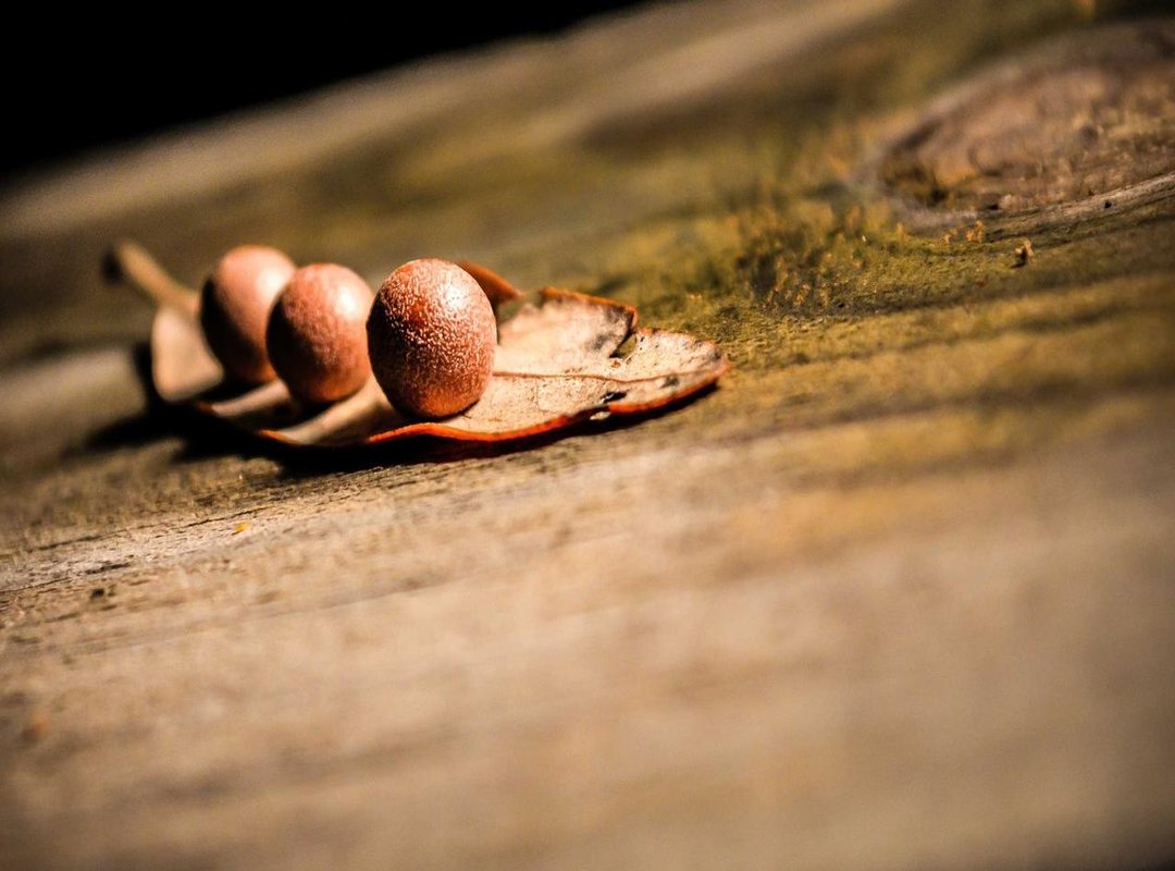 Our Top Picks: 3 Best Ways to Get Your Logo Designed in 2024